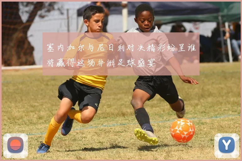 塞内加尔与尼日利对决精彩纷呈谁将赢得这场非洲足球盛宴